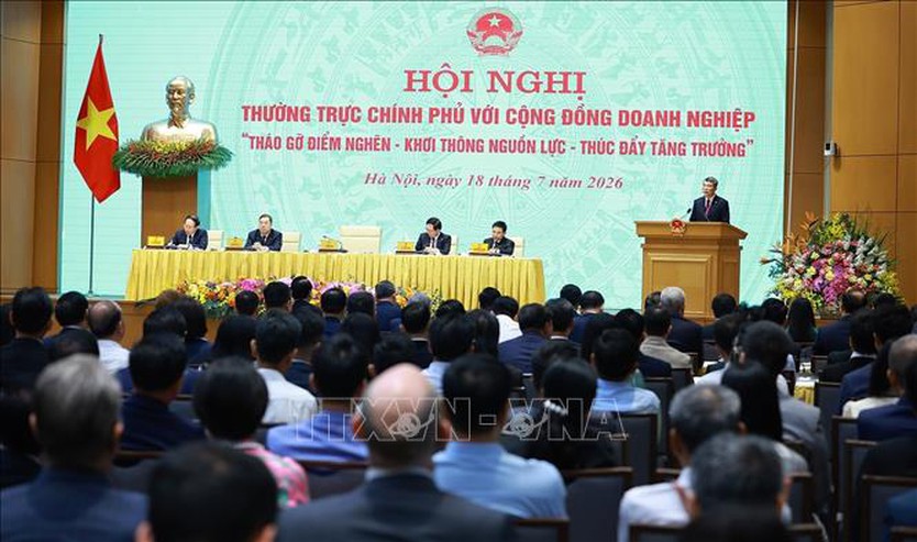 Thủ tướng chủ trì Hội nghị Thường trực Chính phủ với cộng đồng doanh nghiệp - Ảnh 6.