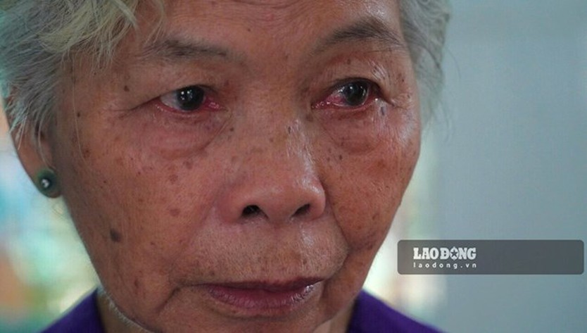 Công nhận bà Nguyễn Thị Lệ là vợ của liệt sĩ Huỳnh Văn Quên - Ảnh 1.