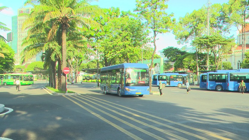 TP. Hồ Chí Minh miễn phí vé trên 134 tuyến xe buýt nội tỉnh - Ảnh 1.