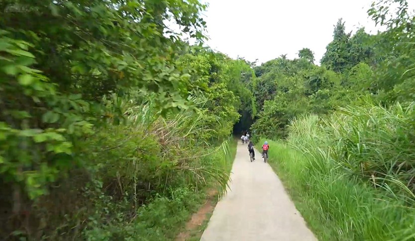 Cùng HTV Hành động xanh: Vận động để chữa lành - Ảnh 9.