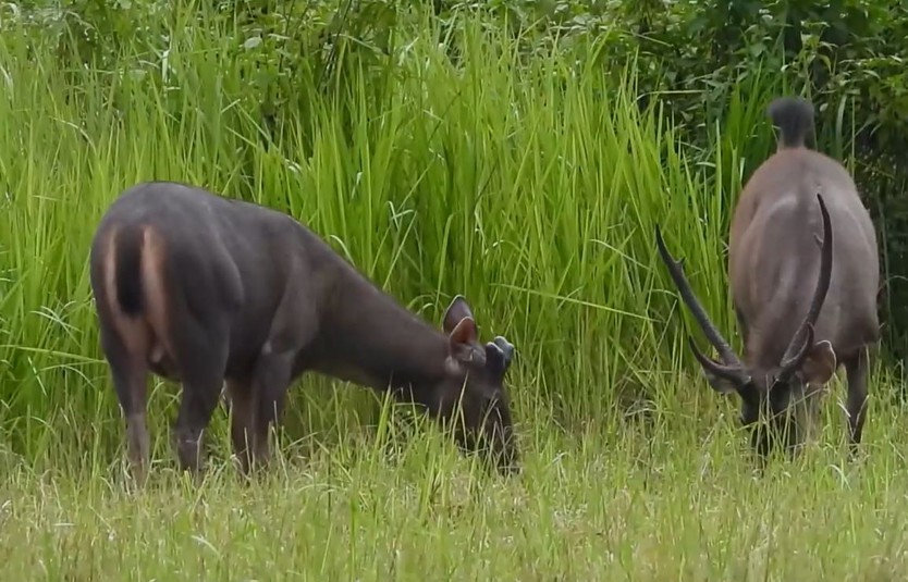 Cùng HTV Hành động xanh: Vận động để chữa lành - Ảnh 6.