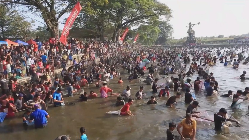 Memet Ikan - Lễ hội bắt cá tập thể ở Klaten, Indonesia - Ảnh 1.