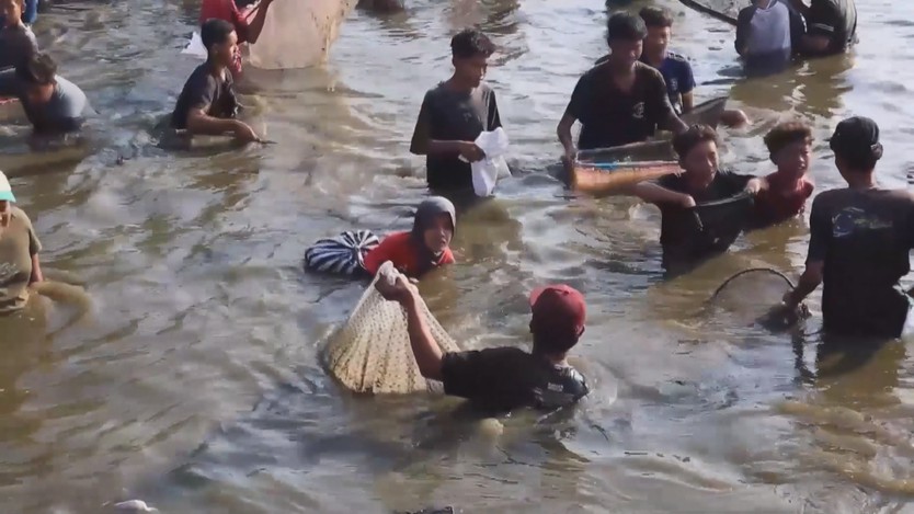 Memet Ikan - Lễ hội bắt cá tập thể ở Klaten, Indonesia - Ảnh 2.