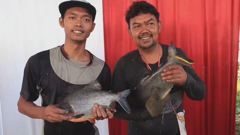 Memet Ikan - Lễ hội bắt cá tập thể ở Klaten, Indonesia - Ảnh 4.