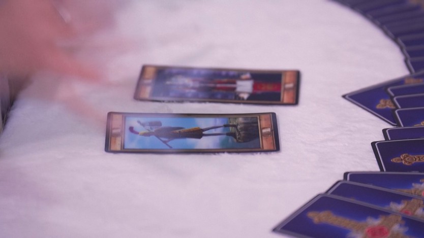 Dịch vụ xem bài tarot cho thú cưng thu hút người nuôi tại Hàn Quốc - Ảnh 5.