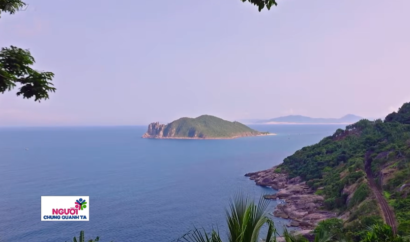 Người chung quanh ta: Người lặn biển suốt 15 năm để cứu san hô Sơn Trà - Ảnh 19.