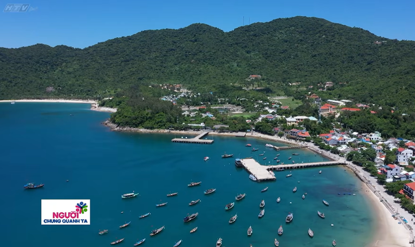 Người chung quanh ta: Người lặn biển suốt 15 năm để cứu san hô Sơn Trà - Ảnh 20.