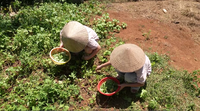 Mái ấm gia đình Việt: Chuyện người mẹ làm thuê nuôi chồng liệt, hai con nhỏ - Ảnh 3.