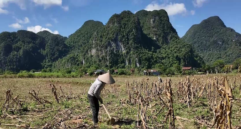 Mái ấm gia đình Việt: Chuyện người mẹ làm thuê nuôi chồng liệt, hai con nhỏ - Ảnh 2.