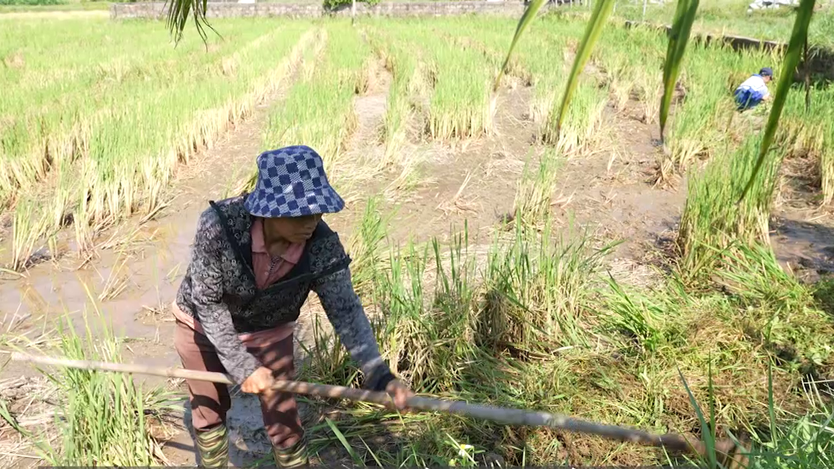Mái ấm gia đình Việt: Cô bé chỉ ước mẹ khỏe mạnh để ở bên mình lâu hơn- Ảnh 1.