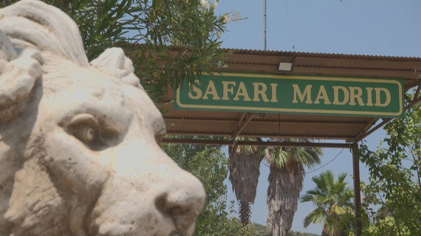Vườn thú Safari Madrid bảo vệ an toàn hơn 2.000 động vật giữa cháy rừng- Ảnh 2.