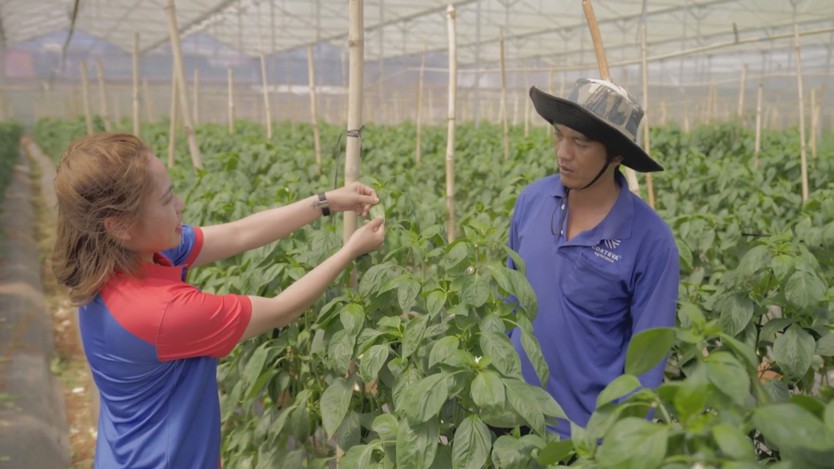TP. Hồ Chí Minh nhân rộng “Tick xanh trách nhiệm”, siết chặt an toàn thực phẩm - Ảnh 9.