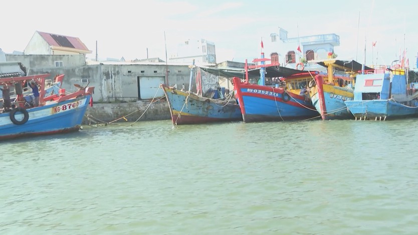 TP. Hồ Chí Minh quyết liệt gỡ “thẻ vàng” IUU - Ảnh 2.