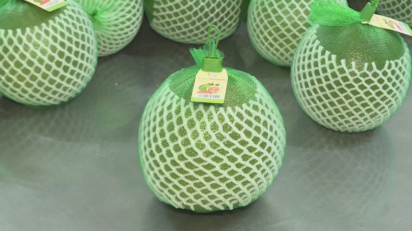 Đổi mới tư duy để mở rộng cánh cửa xuất khẩu cây có múi - Ảnh 3.
