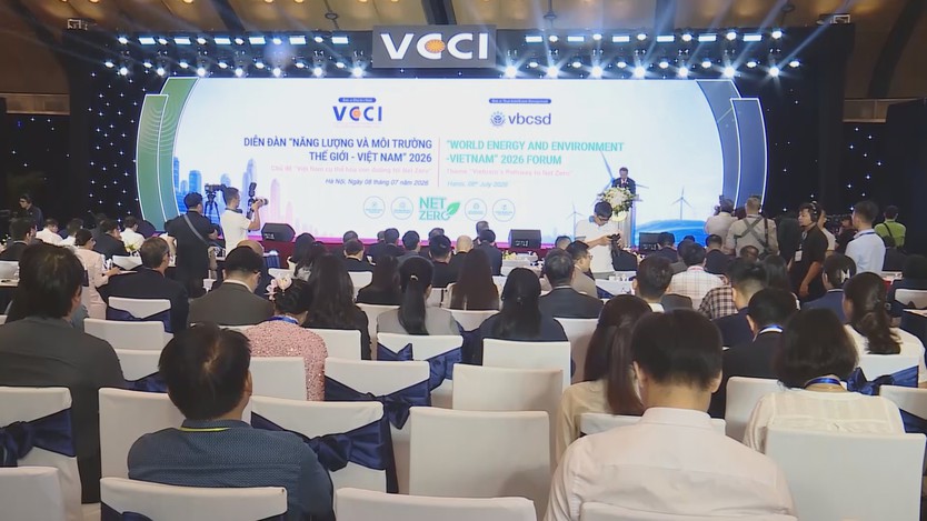 Việt Nam thúc đẩy chuyển dịch xanh, hiện thực hóa mục tiêu phát thải ròng bằng "0" - Ảnh 1.