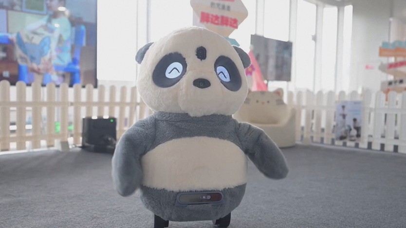 Robot biết tự an ủi con người - Ảnh 1.