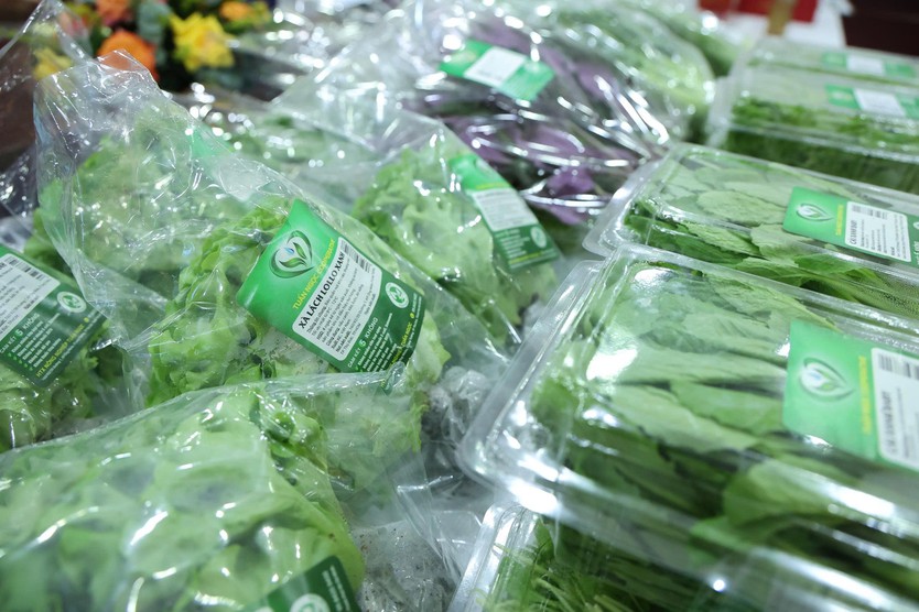 TP. Hồ Chí Minh tập huấn phát triển sản phẩm OCOP tiềm năng 5 sao - Ảnh 17.