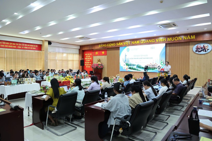 TP. Hồ Chí Minh tập huấn phát triển sản phẩm OCOP tiềm năng 5 sao - Ảnh 2.