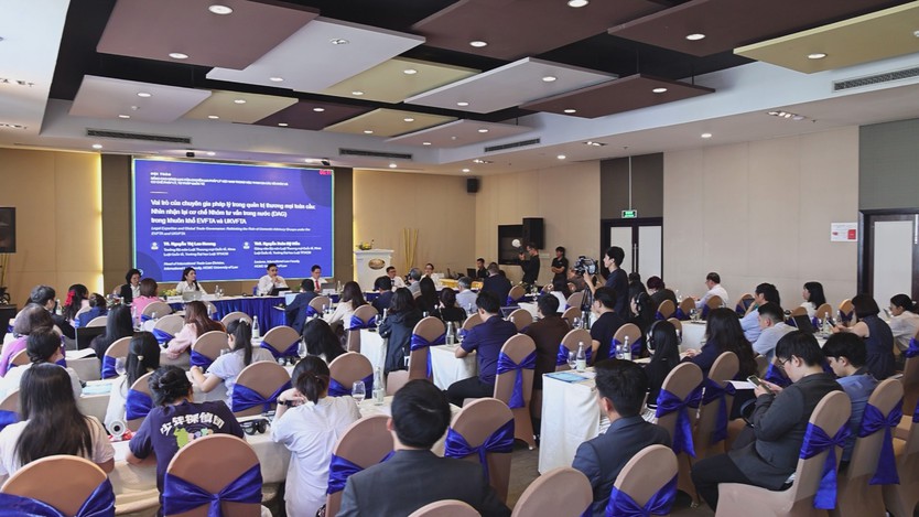 Chiến lược đào tạo nguồn nhân lực pháp lý Việt Nam vươn ra quốc tế - Ảnh 1.