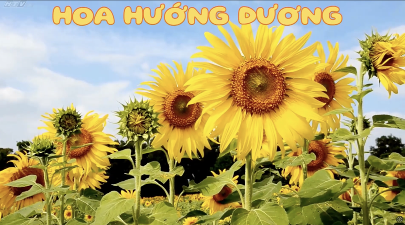 Góc nhỏ kỳ diệu: Vẽ bình hoa kết hợp hoa tươi - Ảnh 9.