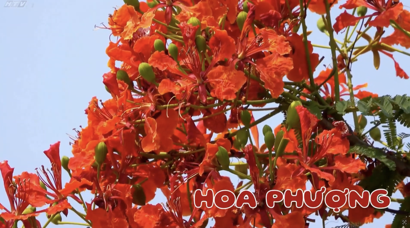 Góc nhỏ kỳ diệu: Vẽ bình hoa kết hợp hoa tươi - Ảnh 8.