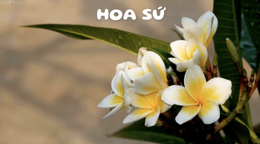 Góc nhỏ kỳ diệu: Vẽ bình hoa kết hợp hoa tươi - Ảnh 5.