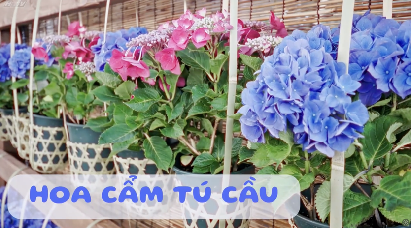 Góc nhỏ kỳ diệu: Vẽ bình hoa kết hợp hoa tươi - Ảnh 6.