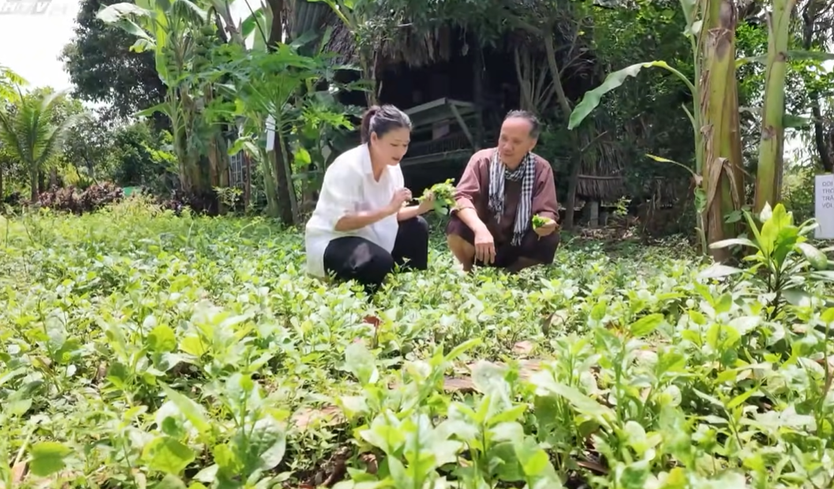 Cùng HTV hành động xanh: Khi nông nghiệp tuần hoàn tạo nên giá trị xanh- Ảnh 23.