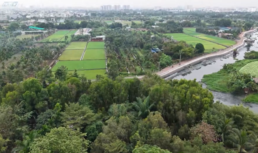 Cùng HTV hành động xanh: Khi nông nghiệp tuần hoàn tạo nên giá trị xanh- Ảnh 8.