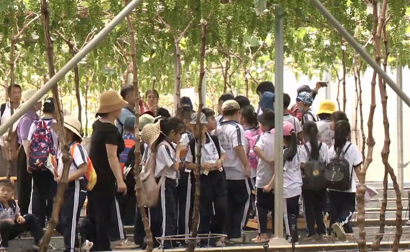 Cùng HTV hành động xanh: Khi nông nghiệp tuần hoàn tạo nên giá trị xanh- Ảnh 19.