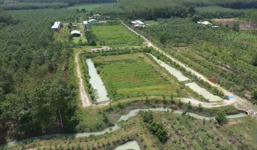 Cùng HTV hành động xanh: Khi nông nghiệp tuần hoàn tạo nên giá trị xanh- Ảnh 6.
