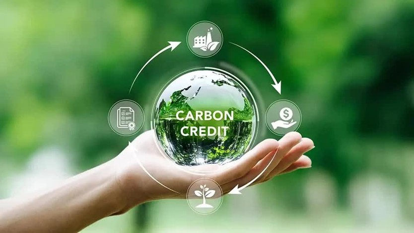 Thị trường carbon Việt Nam chuyển từ chính sách sang hành động - Ảnh 6.