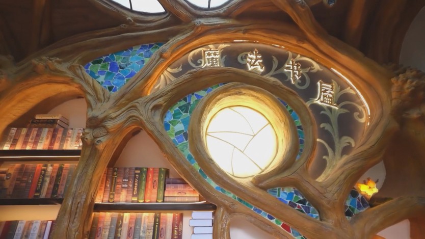 Trung Quốc: Lạc vào thế giới phép thuật tại thư viện "Hogwarts" - Ảnh 3.