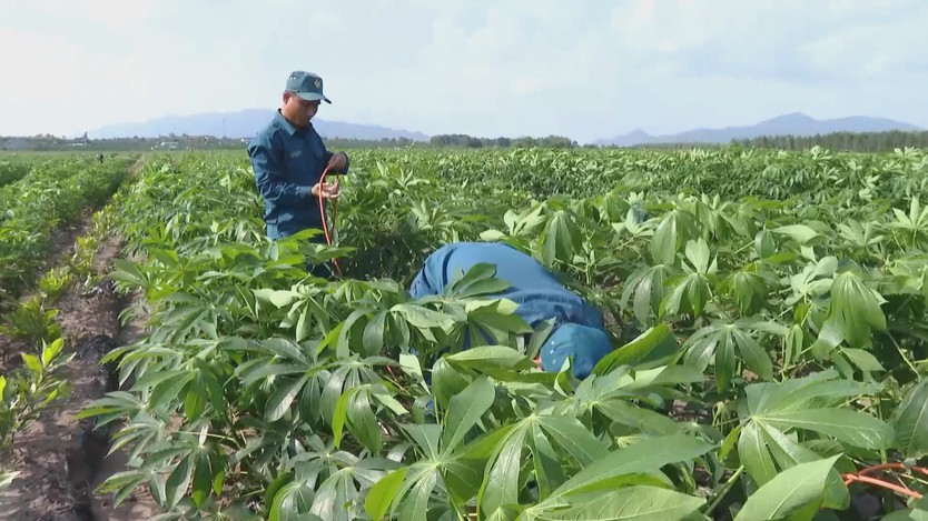 Từ lời nhân chứng, mở rộng tìm kiếm hài cốt liệt sĩ bệnh viện K76A - Ảnh 8.