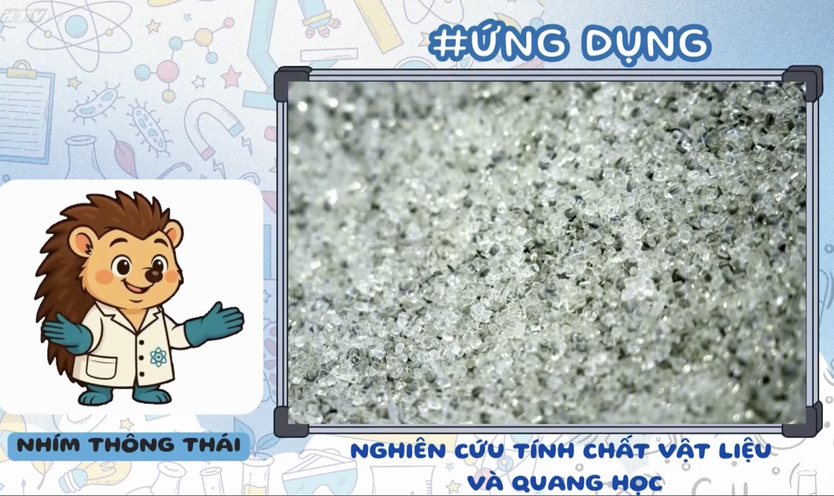 Góc nhỏ kỳ diệu: Học vẽ chim công- Ảnh 14.