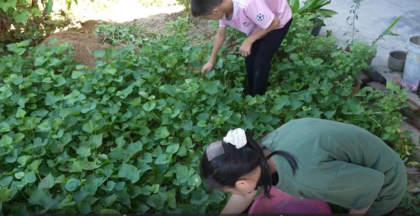 Chuyện cô bé mồ côi cha, mẹ bị tai biến trong "Mái ấm gia đình Việt" - Ảnh 4.