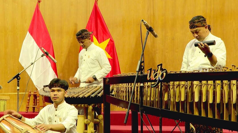 Sinh viên Việt Nam - Indonesia cất cao giai điệu về tình hữu nghị hai nước- Ảnh 3.