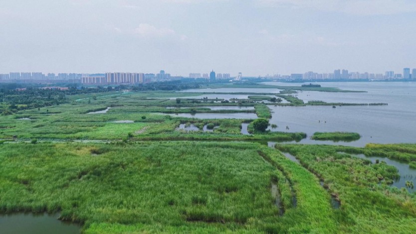 Le khoang cổ xuất hiện ở Hà Bắc, Trung Quốc - Ảnh 4.