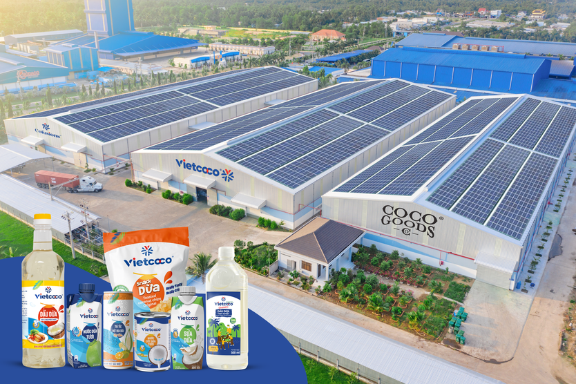Vietcoco và hành trình nâng giá trị trái dừa Việt - Ảnh 2.