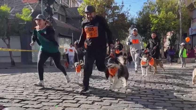 Bolivia: Lễ hội Thánh Roch dành cho loài chó - Ảnh 6.