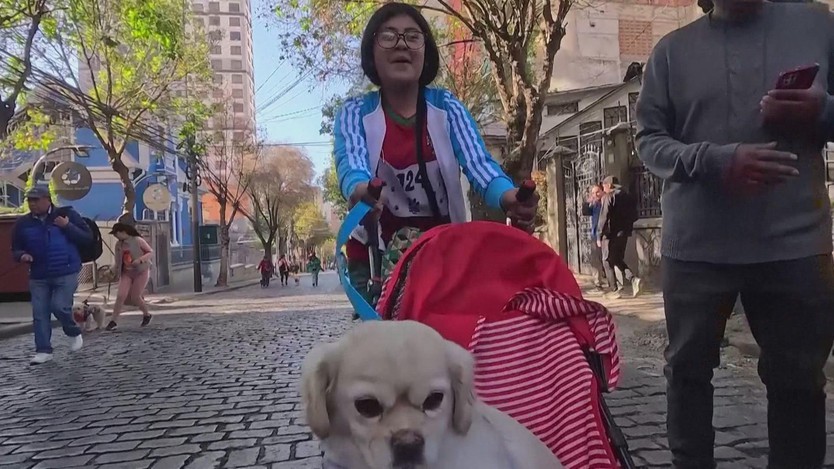 Bolivia: Lễ hội Thánh Roch dành cho loài chó - Ảnh 7.