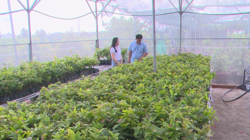 Để chuyển đổi số thay "áo mới" cho nông nghiệp- Ảnh 3.