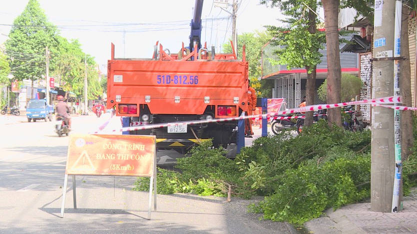 TP. Hồ Chí Minh bảo đảm cấp điện an toàn, ổn định dịp Quốc khánh 2/9 - Ảnh 2.