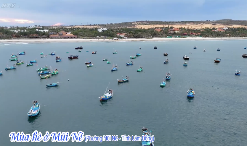 Vườn sao mai: Cẩm nang du lịch biển- Ảnh 1.