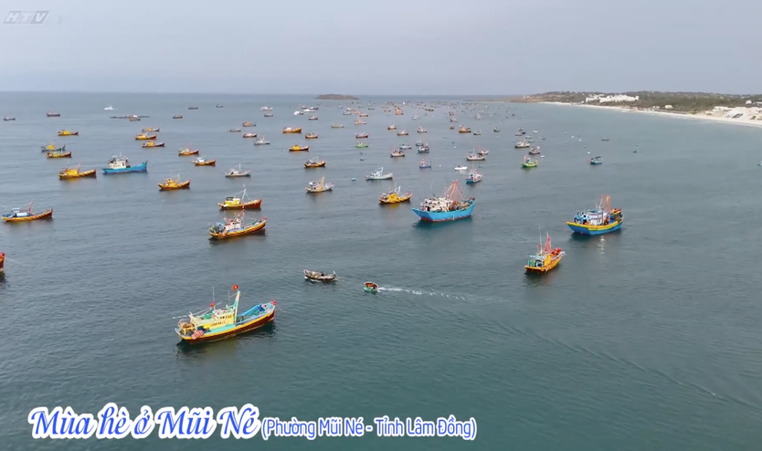 Vườn sao mai: Cẩm nang du lịch biển- Ảnh 3.