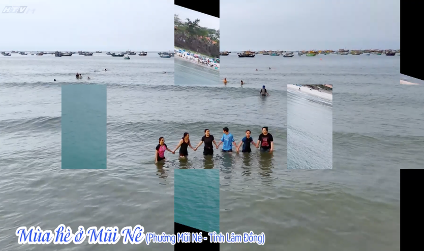 Vườn sao mai: Cẩm nang du lịch biển- Ảnh 2.