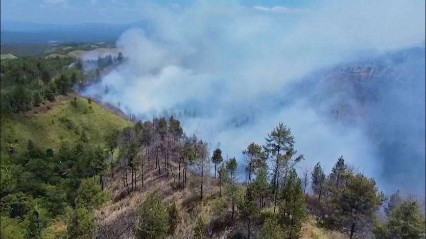Indonesia: Cháy rừng nghiêm trọng thiêu rụi hơn 700 hecta - Ảnh 3.