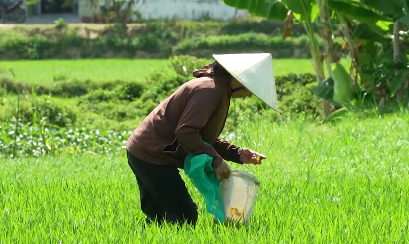 Mái ấm gia đình Việt: Uớc mơ đưa bà, mẹ đi khắp thế gian - Ảnh 1.