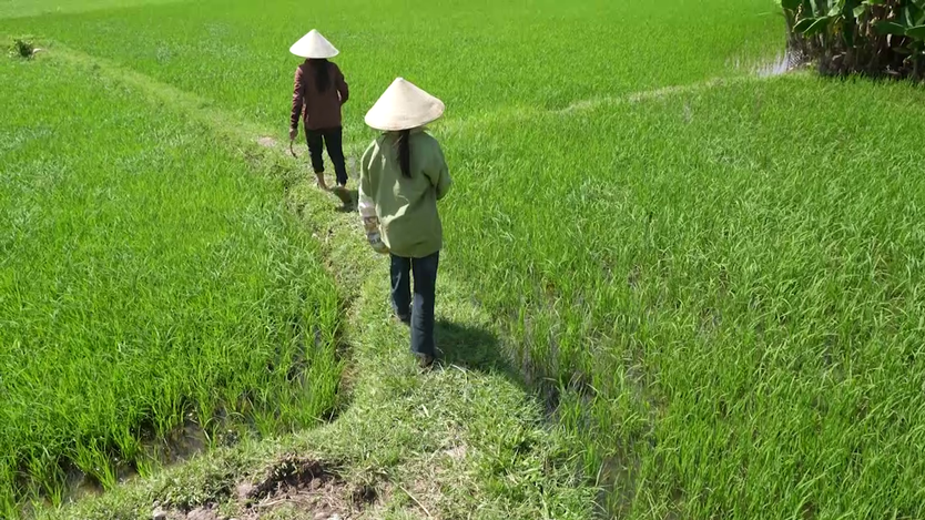 Mái ấm gia đình Việt: Uớc mơ đưa bà, mẹ đi khắp thế gian - Ảnh 2.