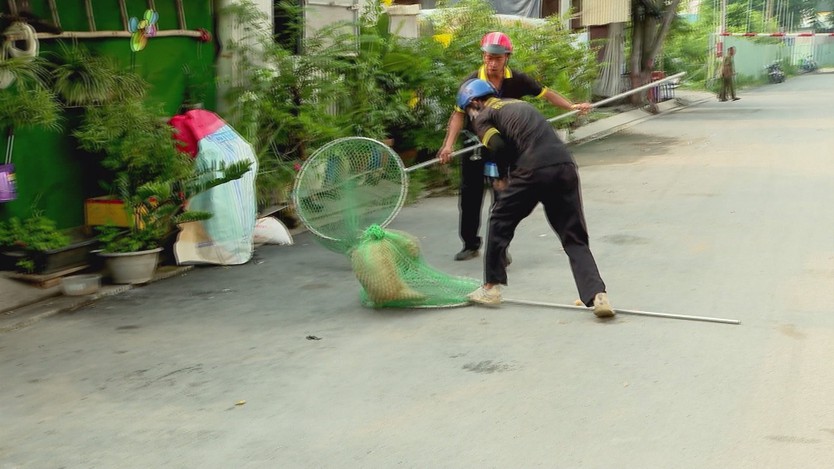Quyết liệt kiểm soát chó, mèo thả rông, ngăn nguy cơ bệnh dại- Ảnh 4.